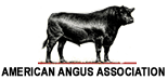 American Angus Association